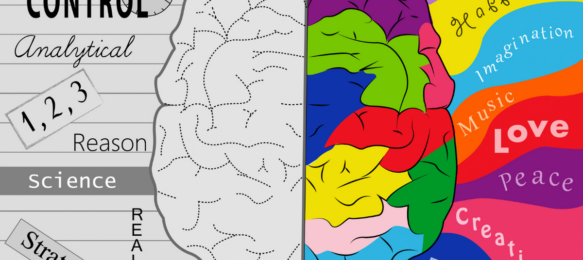 Key Learnings from Bigger Better Brains Educators Course 2020