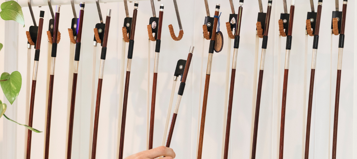 Bows Explained: Everything You Ever Wanted to Know About Bows for