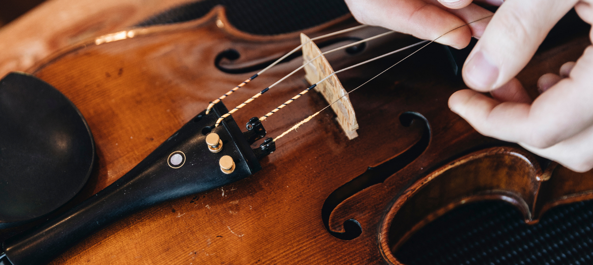 Dry and Cold Weather Survival Tips