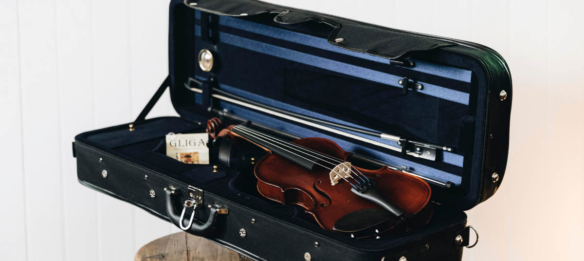Violin Price Guide (What To Expect In Every Price – Simply for Strings