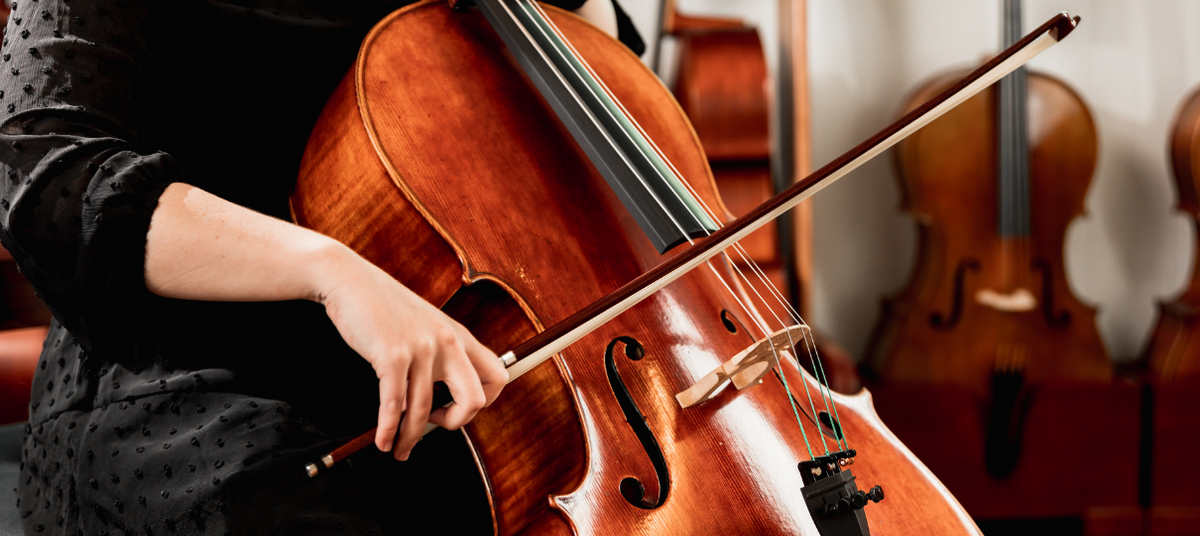 Product Review: Wittner FineTune Pegs for String Instruments