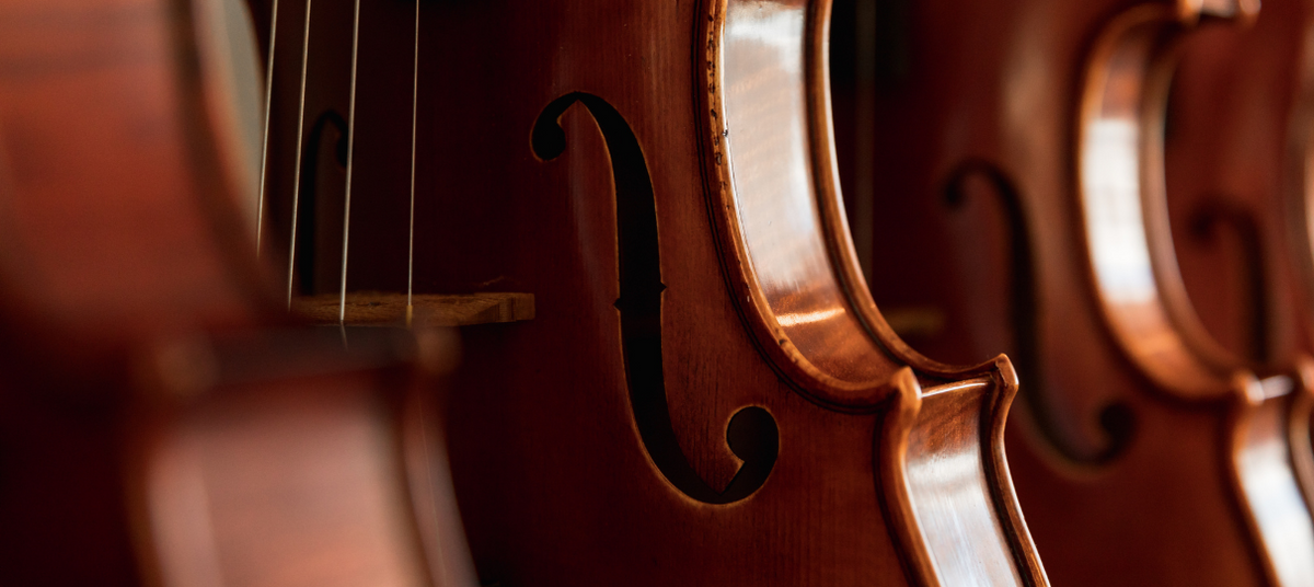 Viola Price Guide (What to Expect in Every Price Range!)