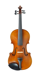 Allegro Violin Outfit 4/4
