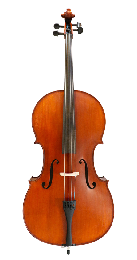 Gliga I Cello Outfit 4/4 – Simply for Strings