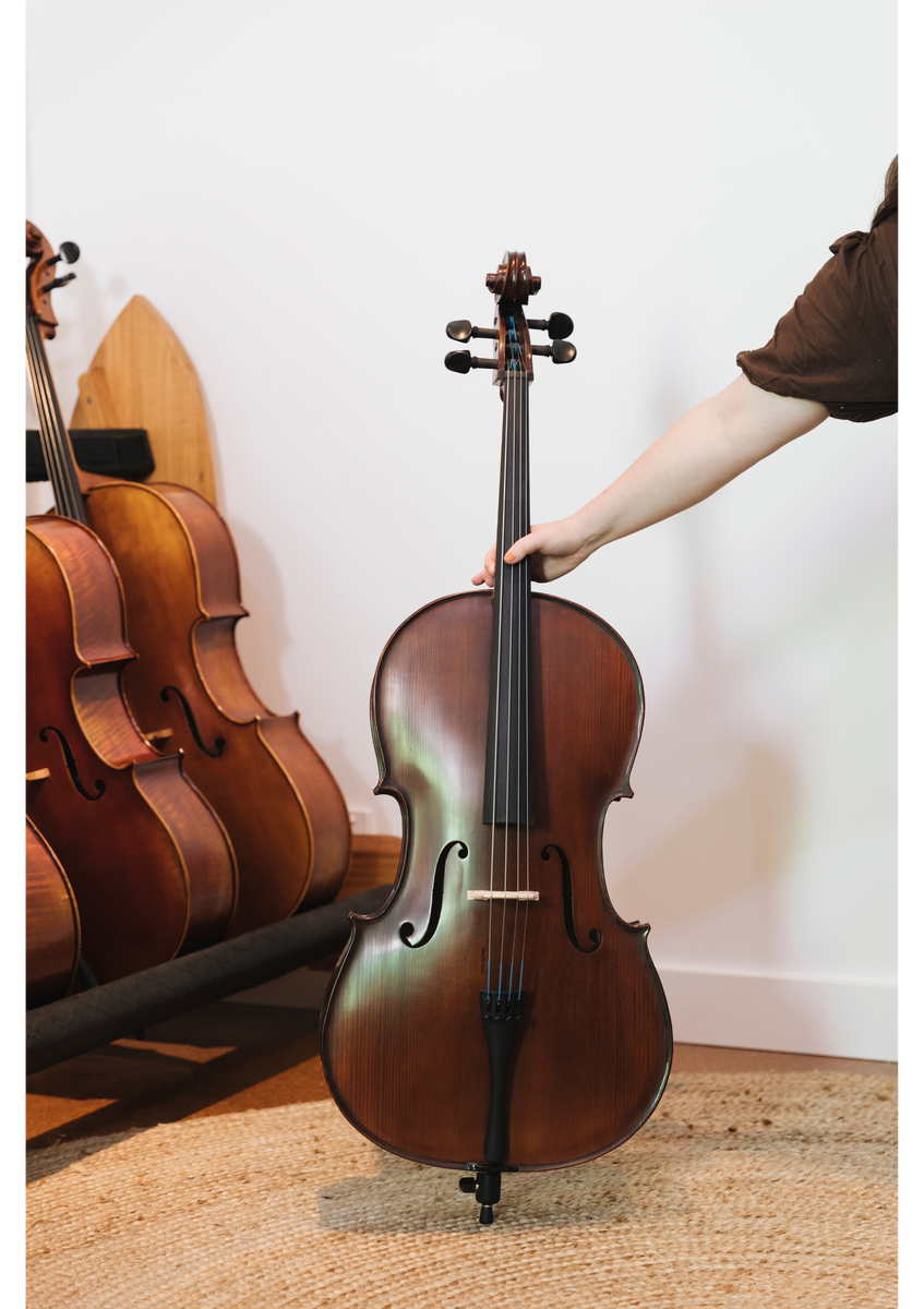Gliga III Cello Outfit 4/4 – Simply for Strings