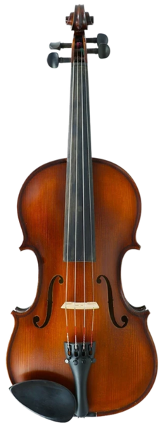 Gliga III Violin Outfit 4/4