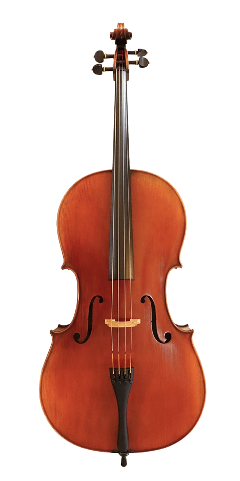 Helmut Illner B Model Cello 4/4 - Stradivarius Copy – Simply for