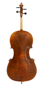 Virtuoso Cello Outfit