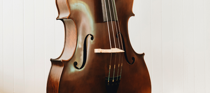 Learning The Double Bass: A Beginner's Guide