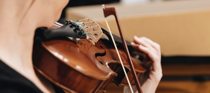 The Definitive Checklist for Buying an Intermediate Violin