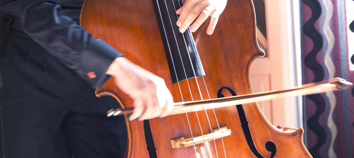 French and German Double Bass Bows - What's the Difference?