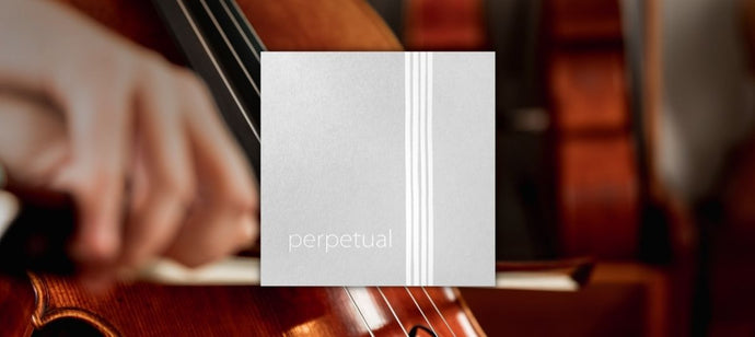 Product Review: Pirastro Perpetual Cello Strings - Every Variety Reviewed!