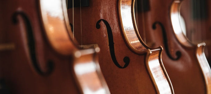 Starting the Violin as an Adult Beginner: What to Expect