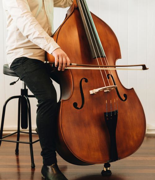 Double Bass Instrument Shell Double Bass | Upright & Orchestral Basses | Simply for Strings