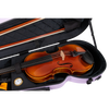 RAAN Shaped Violin Case Lilac 3/4-4/4