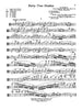 Kreutzer, 42 Studies for Viola (Schirmer)