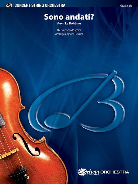 'Sono andati?' from La Boheme (Puccini arr. Jim Palmer) for String Orchestra