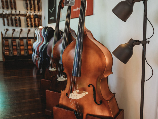 String Instruments In Shop Music Shop Brisbane | Simply for Strings