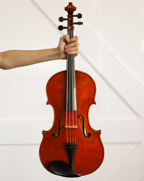 James William Robinson 17" Viola Sydney 2017