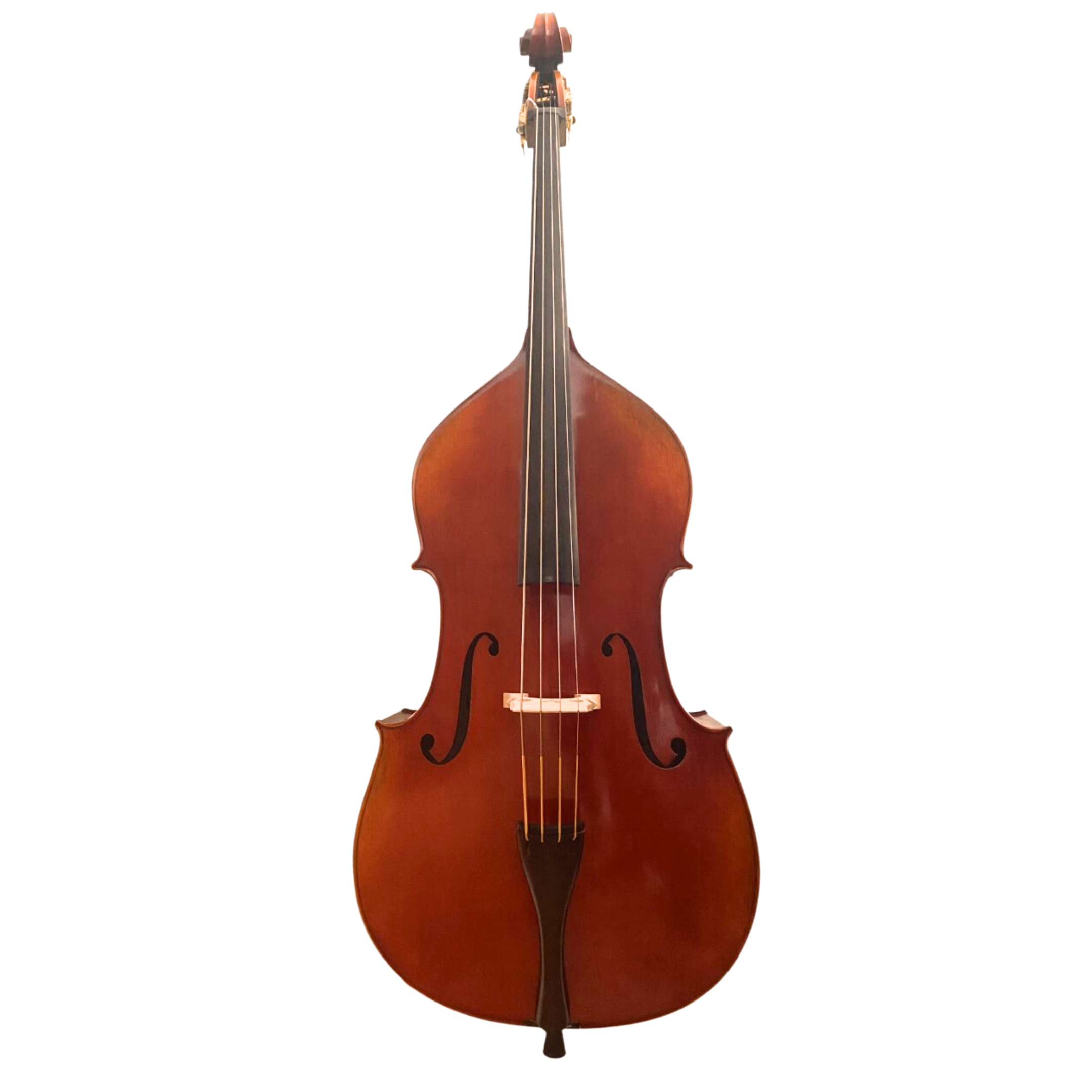 Monteverdi Double Bass 3/4 – Simply for Strings