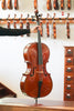 Pierre Marcel Deluxe Cello (Belgium) 4/4