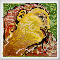 Pirastro Evah Pirazzi Neo Violin D String