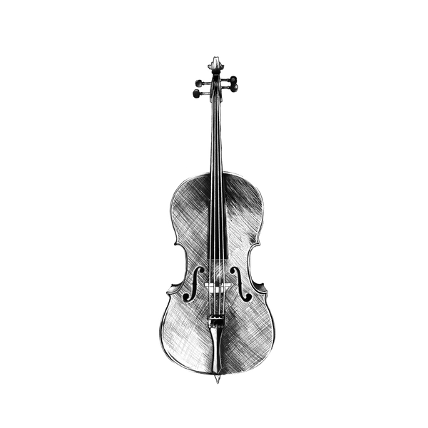 Torelli Cello 4/4