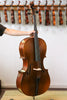 Virtuoso Cello Outfit