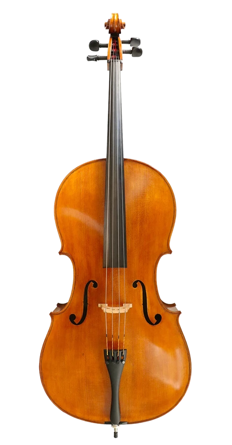 Cadenza Cello 4/4 (Full Size) Advanced Cello from Simply for Strings