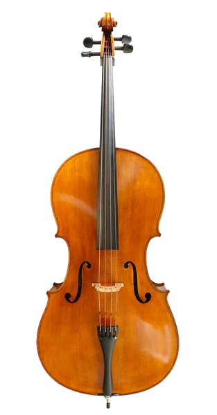 Cadenza Cello 4 4 Full Size Advanced Cello from Simply for Strings