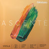 D'Addario Ascente Viola D String 16"-17"