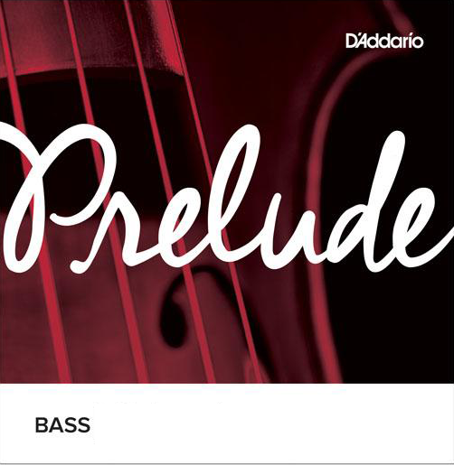 D'Addario Prelude Double Bass D String 3/4