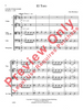 El Toro (Don Brubaker) for String Orchestra