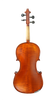 Gliga I Violin Outfit with Dark Antique Varnish 1/2