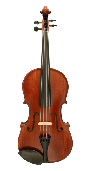 Gliga II Viola Outfit with Antique Varnish 15.5"
