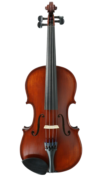 Gliga II Violin Outfit with Dark Antique Varnish 1/2