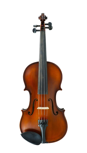 Gliga III Violin Outfit 1/16