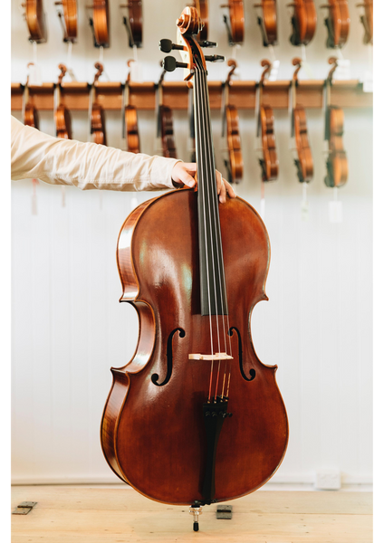 Jay Haide L'Ancienne Cello Montagnana Model 7/8