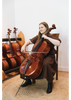 Jay Haide L'Ancienne Cello Stradivarius Model 3/4