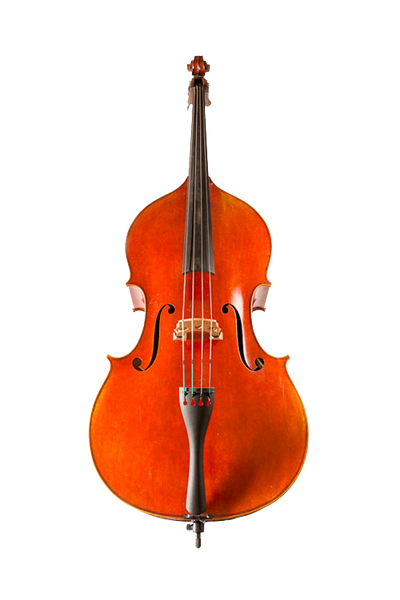 Jay Haide L'Ancienne Double Bass German Model 3/4