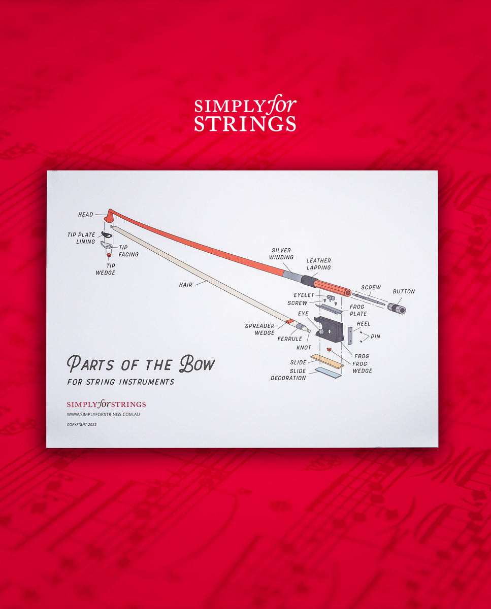 Parts Poster Pack - A2 x 4 – Simply for Strings