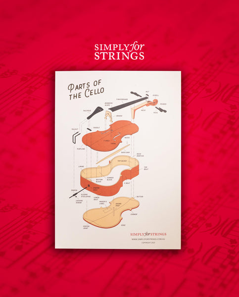 Parts of the Cello Poster - A2 Size