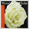 Pirastro Wondertone Solo Violin Silvery Steel E String Loop End 4/4