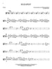 Top Hits for Viola with Online Accompaniments